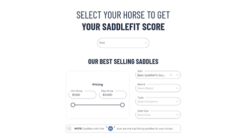 About Saddlefit